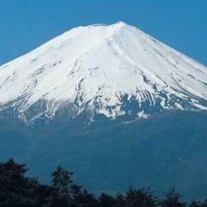 Meet your Posher, Sitsi